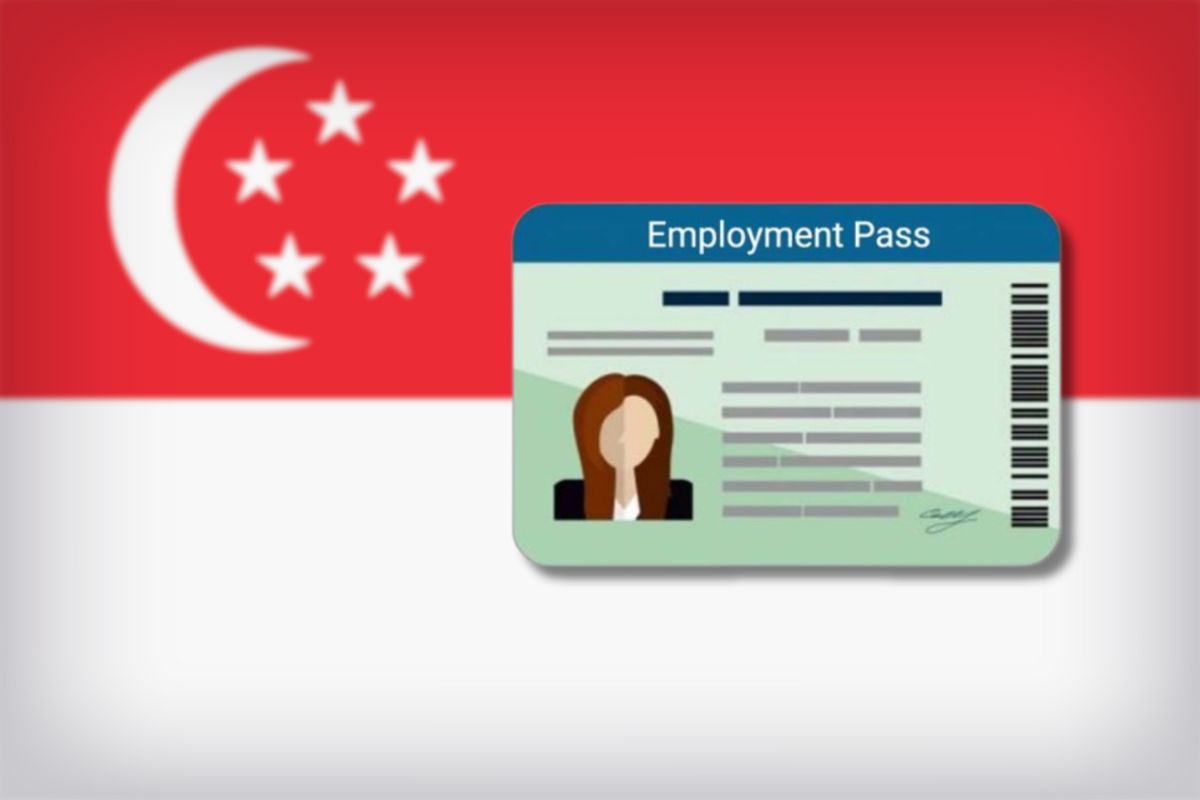 Employment Pass